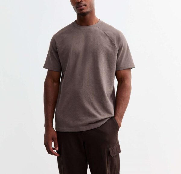 Rust Regular Textured Cotton Blend Raglan T-Shirt